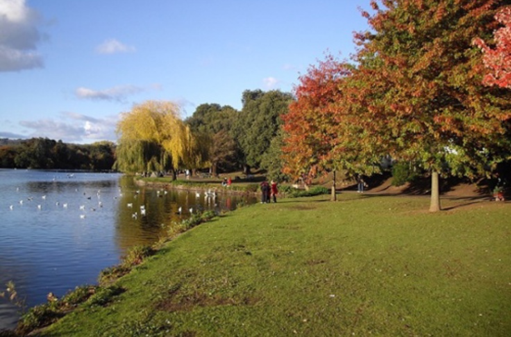 Cyncoed 1