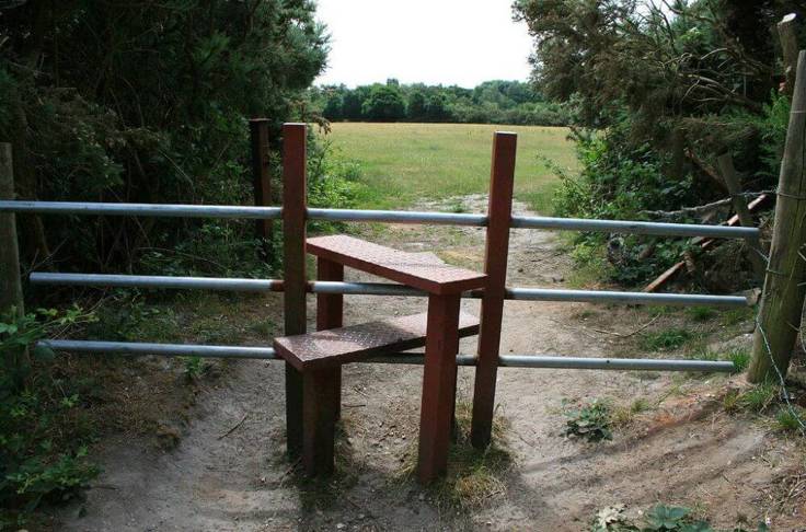 Financial Advice In Talbot Woods, Bournemouth