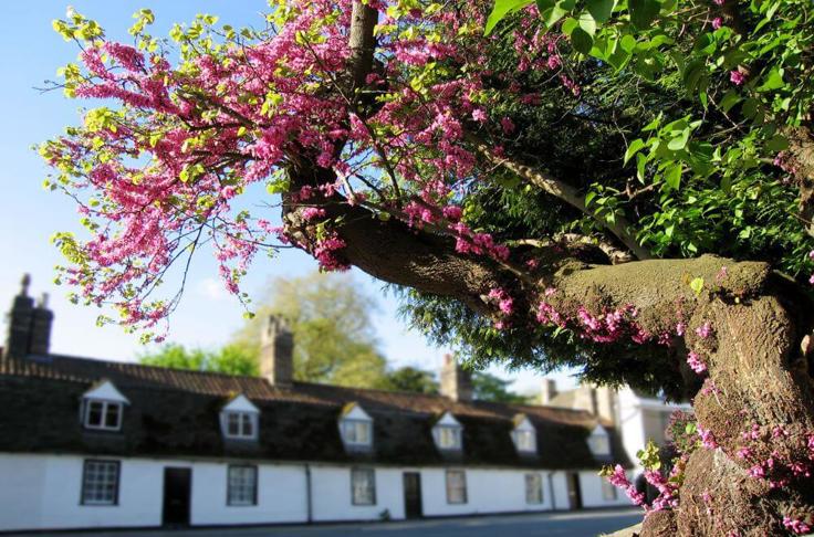 Financial Advice In Chesterton, Cambridge
