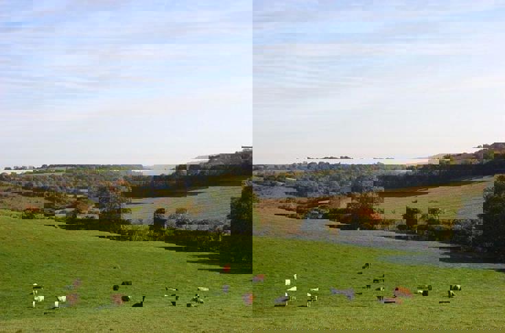 Financial Advice In Chinnor, Oxford