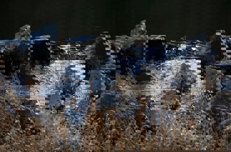 Financial Advice In Melrose, Galashiels