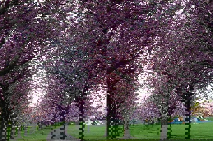 Financial Advice In Broughty Ferry, Dundee