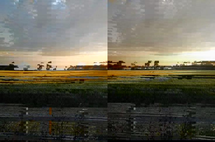 Financial Advice In Wivenhoe, South Colchester