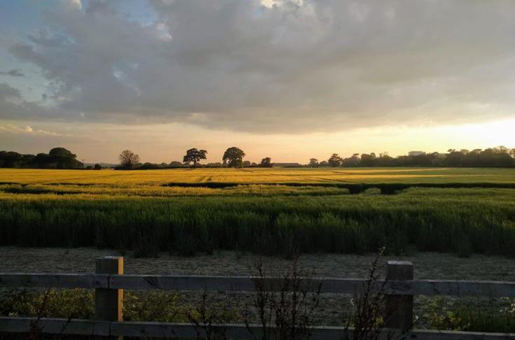 Financial Advice In Wivenhoe, South Colchester