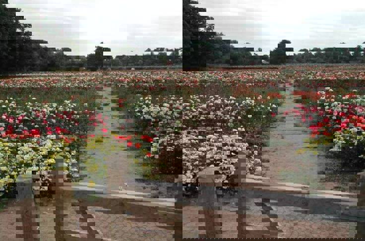 Financial Advice In Woodborough, Nottingham