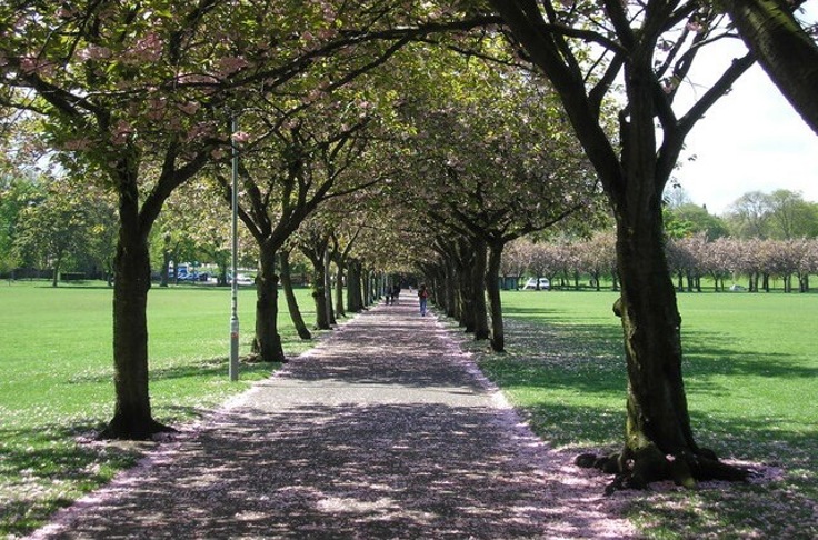 Marchmont