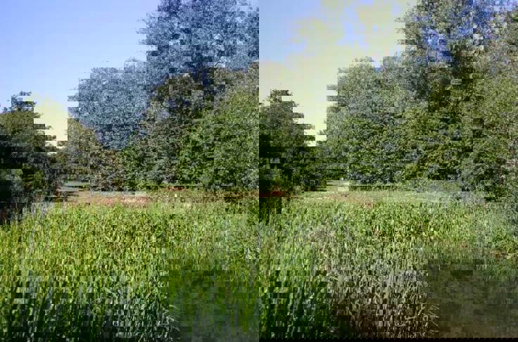 Financial Advice In Castle Hill, Ipswich