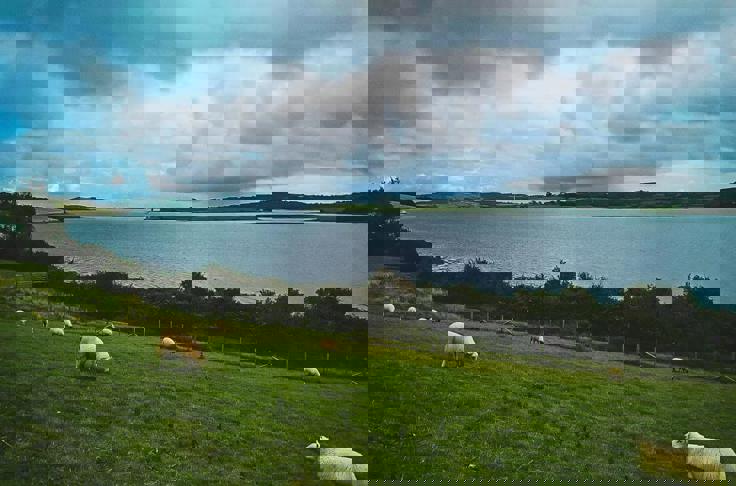 Financial Advice In Strangford Lough, Belfast