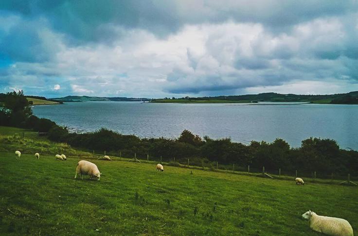 Financial Advice In Strangford Lough, Belfast