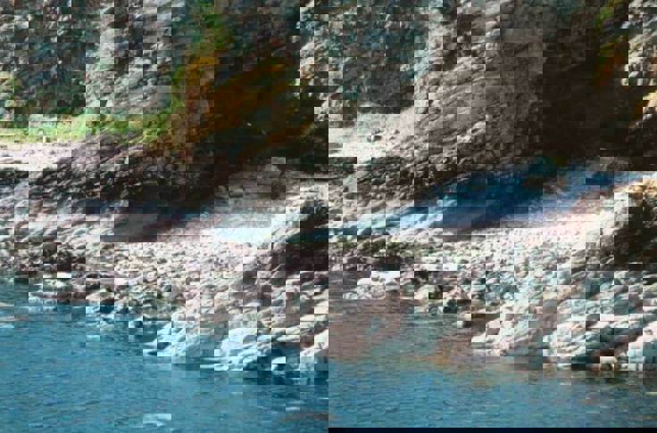 Financial Advice In Cove Bay And Scotland