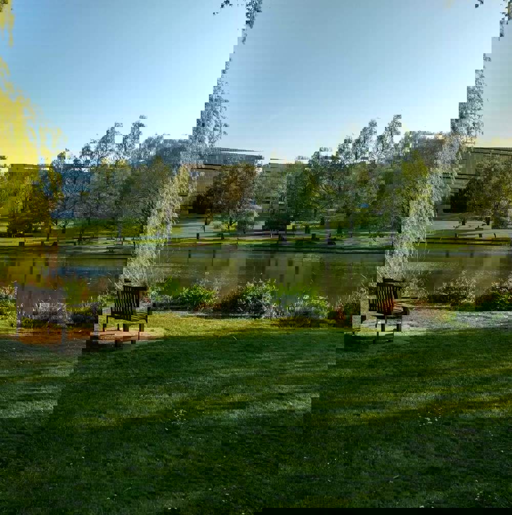 Sandeep Chitreddy Obqru3vndse Unsplash